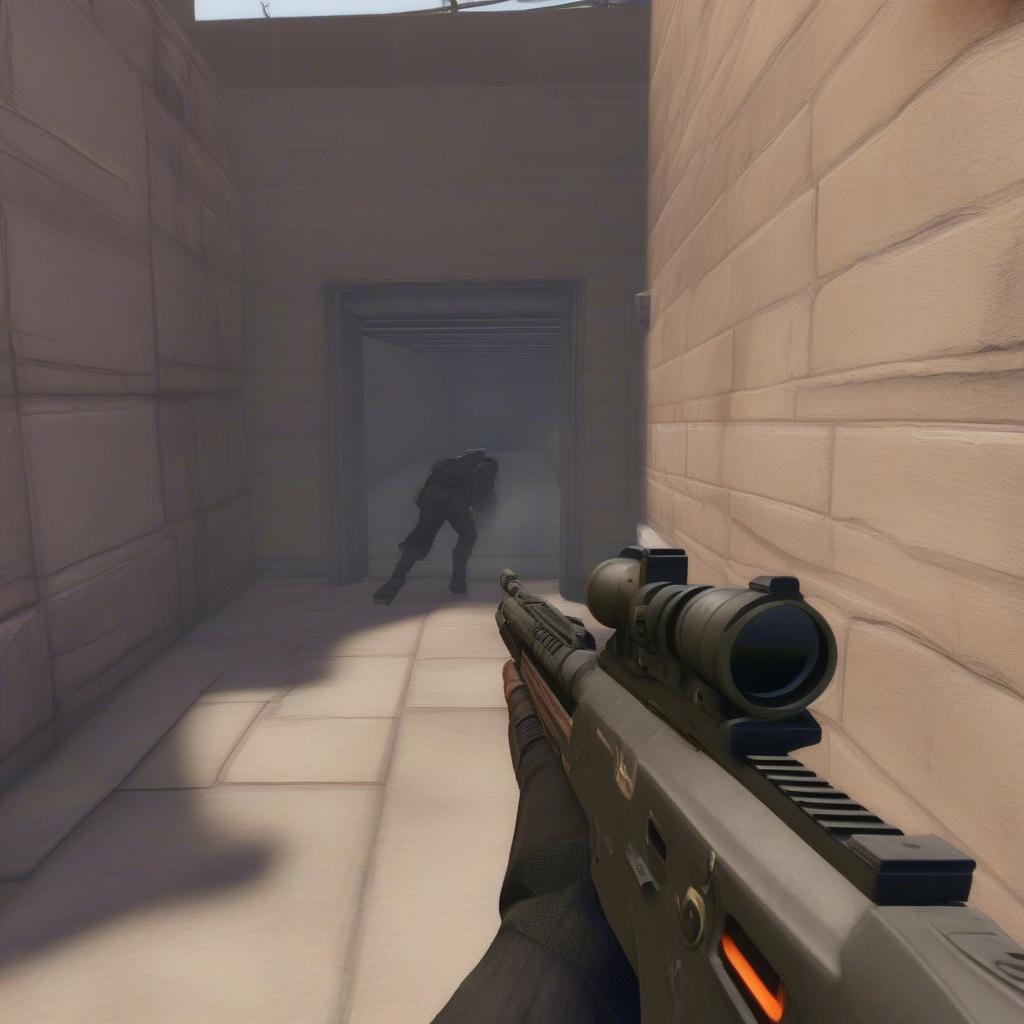 Hax hỗ trợ auto ngắm chính xác (aimbot) và xuyên tường trong các tựa game FPS.